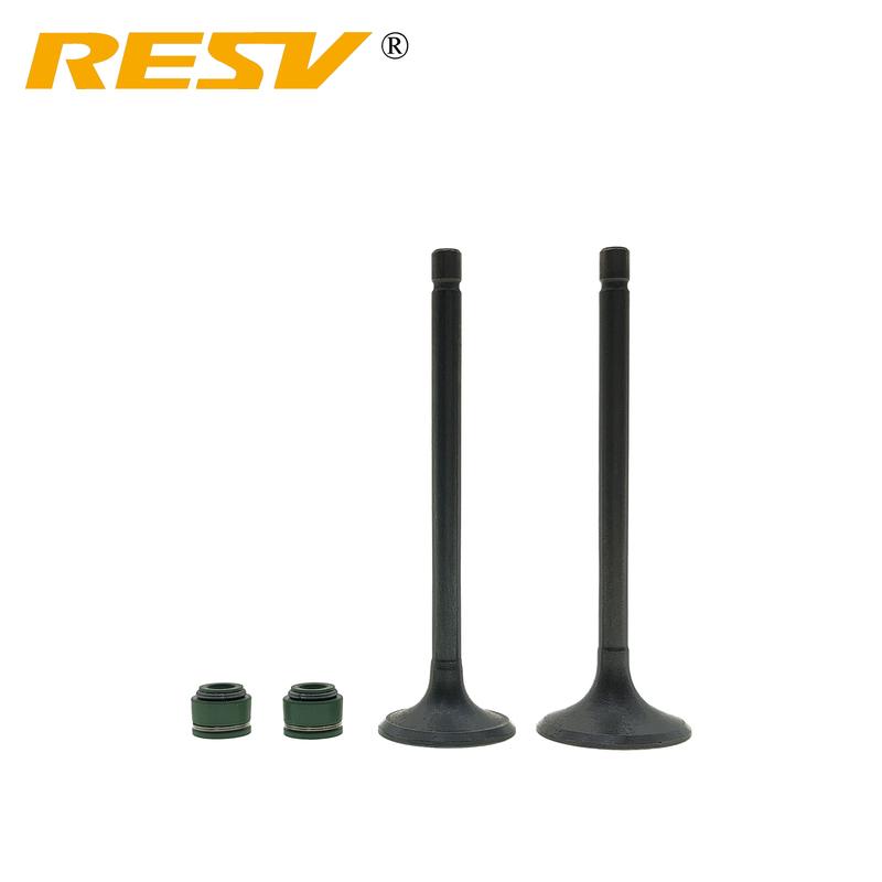 RESV for Honda XL250S 1978-1981 XR250 1979 1980 XL250R XR250R 1981-1983 CB250RS 1980 Valve Intake Exhaust Stem Valve Oil Seal
