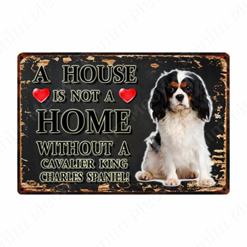 A House Is Not A Home Without A Dog Plaque, Vintage Metal Tin Signs, Bar, Cafe, Home Decor, Springer Spaniel, Wall Art Poster