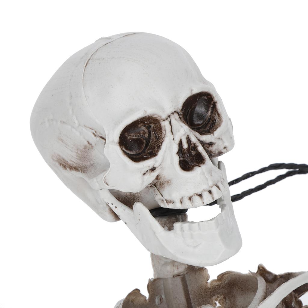 Halloween Resin Full Body Skeletons with Movable Joints for Home Costume Party Decoration Props