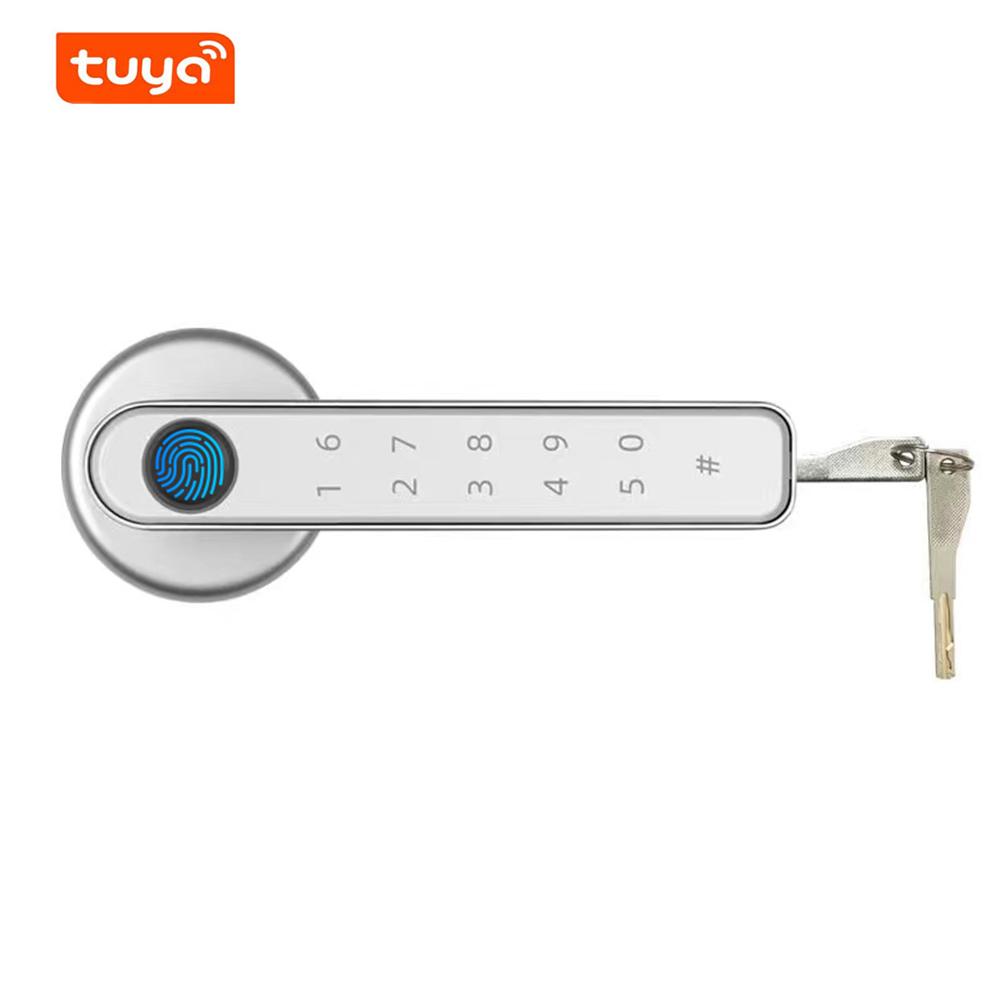 Tuya TTLOCK APP Control Door Locks Biometric Fingerprint Locker BT Smart Entry Home Handle App Unlock Digital Intelligent Lock