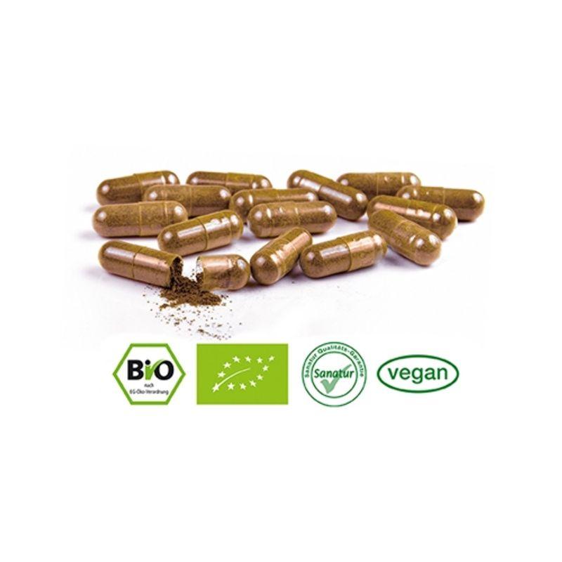 Sanatur Grape Seed OPC + Vitamin C 90 Capsules