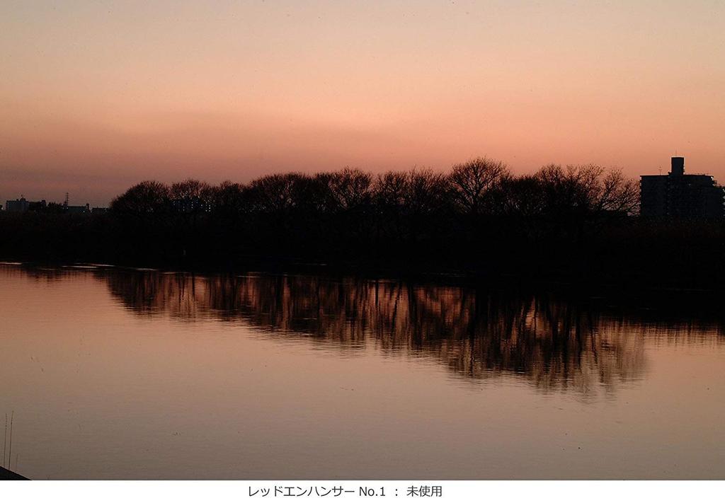 Kenko Lens Filter Red Enhancer 1 67mm for Color Enhancement No. (Product Code 316726)