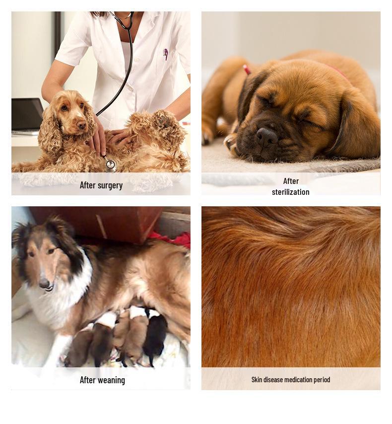 Unisex Pet Recovery Suit: Anti-Lick, Breathable Four-Legged Outfit for Post-Surgery, Weaning, and Hair Loss Protection.