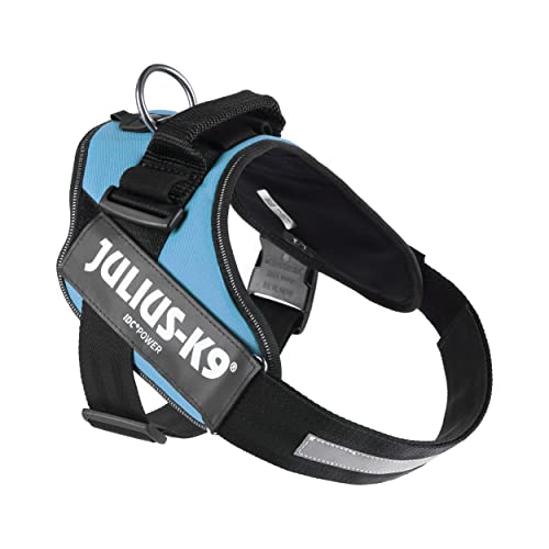 IDC Power Harness, Size: L/1, Aquamarine
