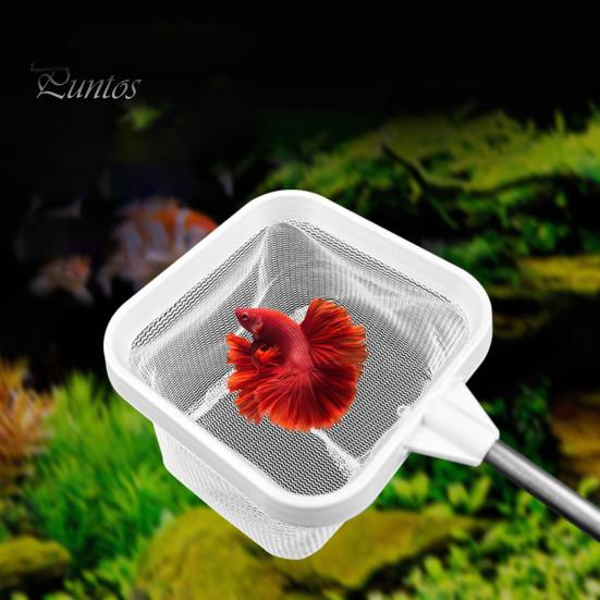 Fisknät med teleskopiskt handtag i rostfritt stål, djupare nätpåse, fisknät, fyrkantigt fisknät för räkor, fiskbebisar, matrester