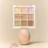 Pro Concealer Palette