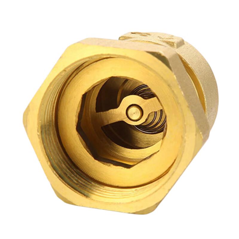 Water Meter Check Valve