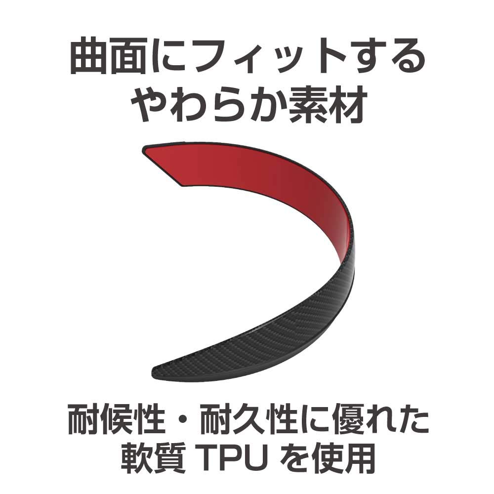 Seiko Sangyo EXEA Carbon Fiber Bumper Protector (EW-143)