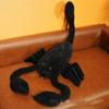 Plush Scorpion Simulation Stuffed Toy Insect Doll Room Decoration Kid Gifts