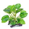 Small Artificial Water Grass Simulation Underwater Plant Aquarium Water Plants  Aquariums Landscape