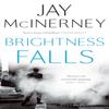 Brightness Falls by Jay McInerney Paperback Book 9781408876954