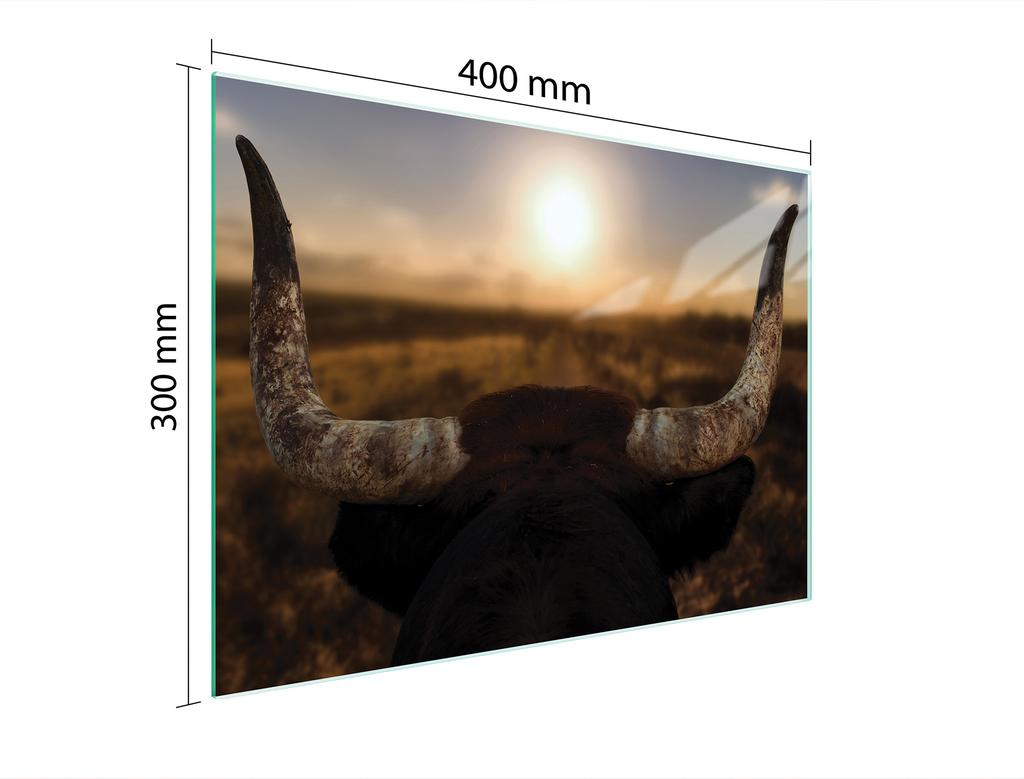 SZKLANA DESKA DO KROJENIA 40x30 SŁOŃCE