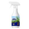 Gym Deodorant Spray for Sweat, Body, Armpit Odor & Sports Gear Freshening
