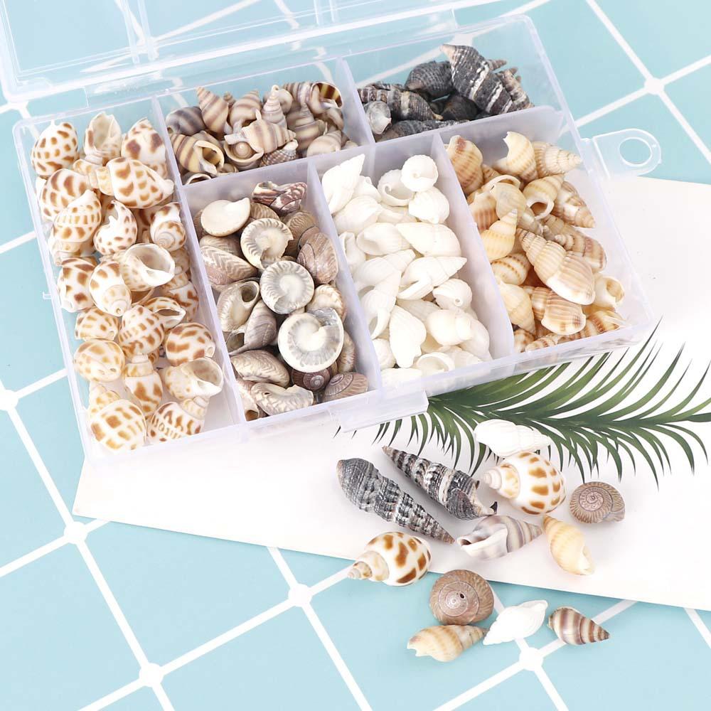 

Shell Conch Diy Аквариум Ландшафтный аквариум Рыба Танк Micro Пейзаж Украшения