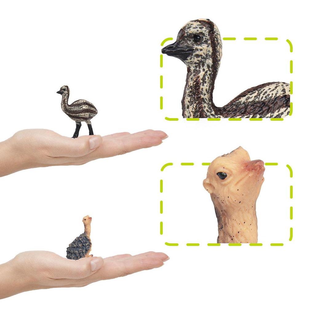 Children's Cognitive Ostrich and Flying Bird Models for Farm Decoration