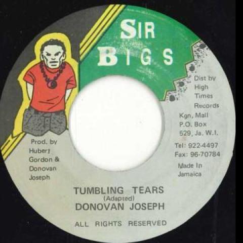 

7inch Record DONOVAN JOSEPH Tumbling Tears none Sir Bigs 1994 Jamaica Reggae Ska Dub