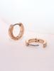 Limerencia G23 Pure Titanium Hypoallergenic Huggie Hoop Earrings for Women Girls Sensitive Ears Rose (8 Millimeters, Gold)