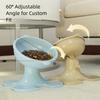 Height Adjustable Raised Cat Bowl Neck Protection Cat Food Plate Tilted Dog Feeding Bowl  for Pet
