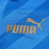 New PUMA Soccer Jerseys Men's Blue 767051-17