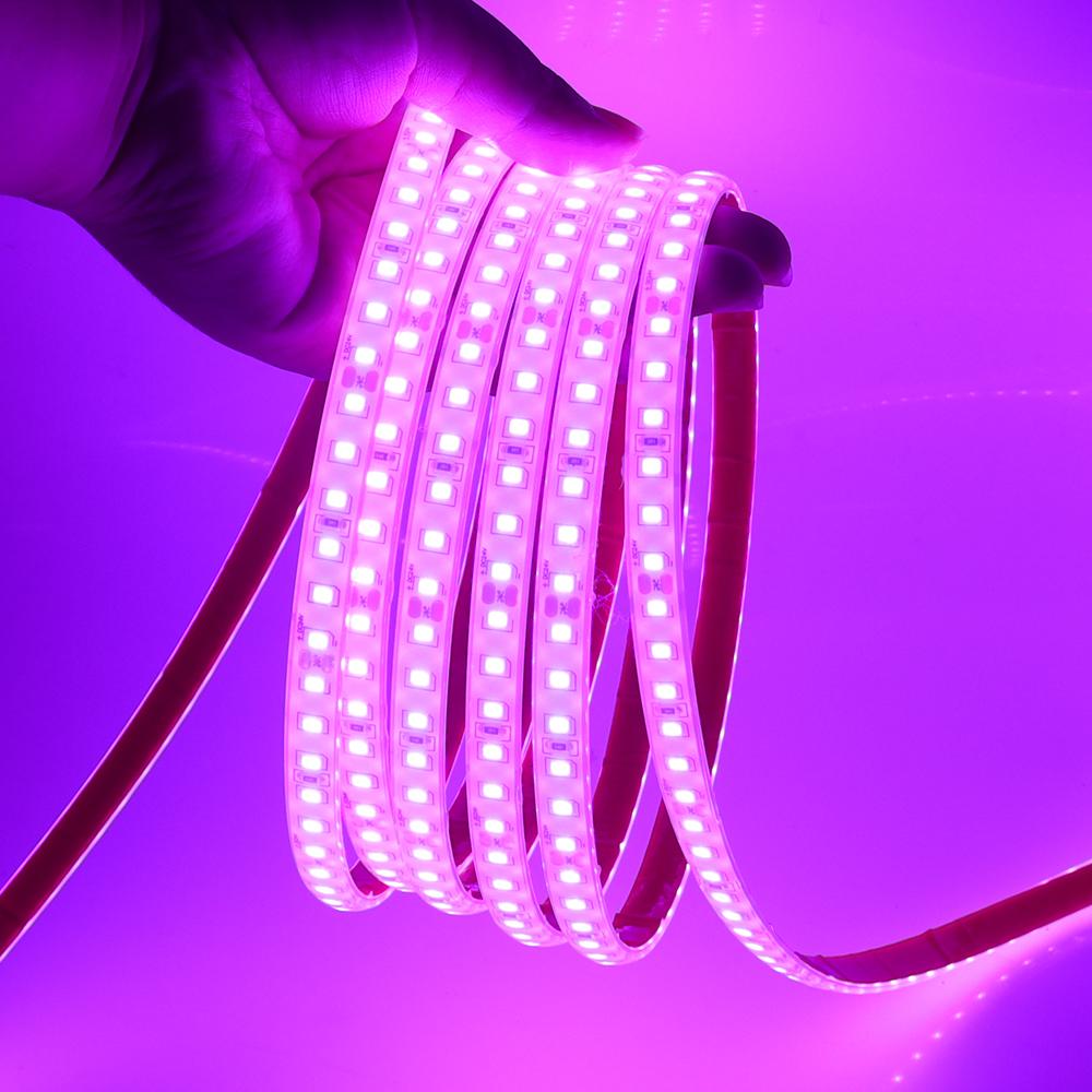 

24V IP68 Waterproof LED Strip 120Leds/M Red Ice Blue Green White Pink Yellow Home Garden Decor Flexible Ribbon Rope Light 0.5m розовый
