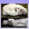 Falkor Dalla Storia Infinita Peluche Drago Fortunato Giocattolo Imbottitura in Cotone PP Decorazione per la Casa Regalo per Bambini