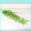 Senecio Wall Rowleyanus Hanging Basket Decoration Plastic Flower Vine