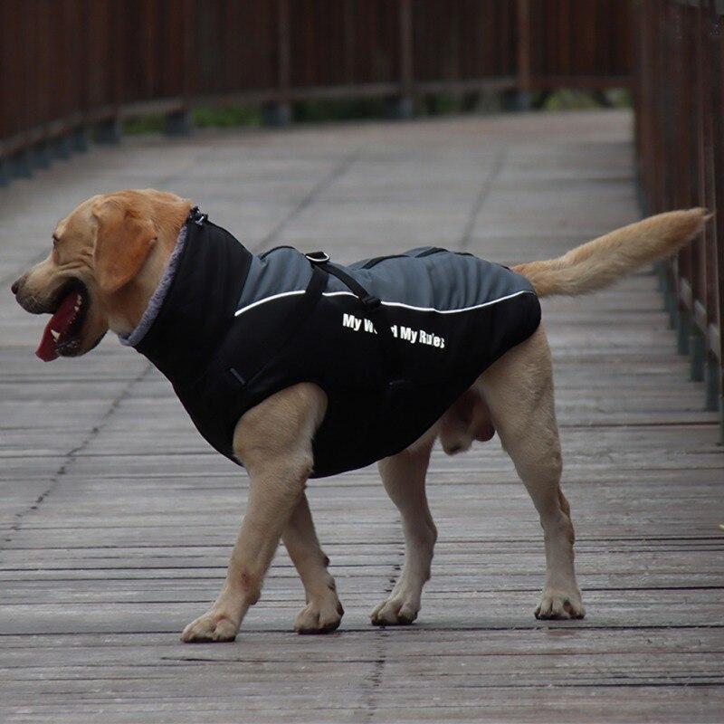 outback jack dog jacket