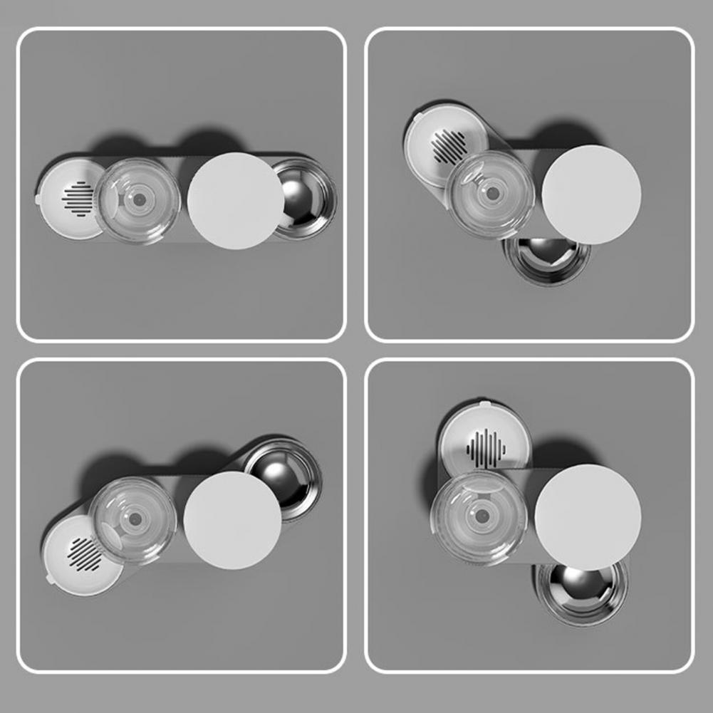 Removable Water Bottle Pet Feeder Automatic Cat Feeder Automatic Pet Feeder Water Dispenser Set for Cats Dogs 2.4l for Small