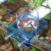 Plastic Fish Tank Feeder Fixed Point Feeding Feed Holder  Saltwater Marine Tank