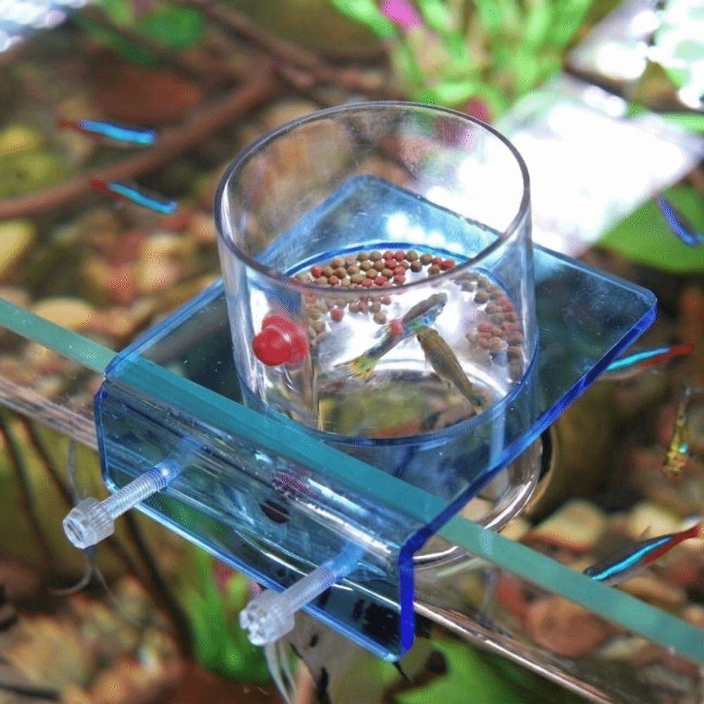 Plastic Fish Tank Feeder Fixed Point Feeding Feed Holder Saltwater Marine Tank