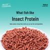 Fishing King Hellcat All-Season Carp Bait Granules