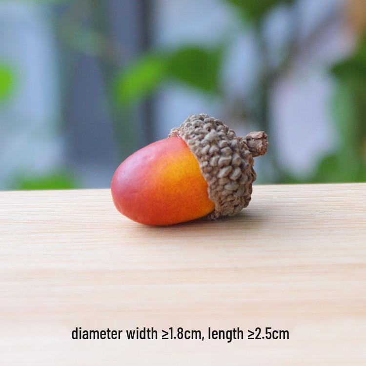 Natural Dried Fruit Wood Slices & Pine Acorn Christmas Decor Materials for Photography Backgrounds