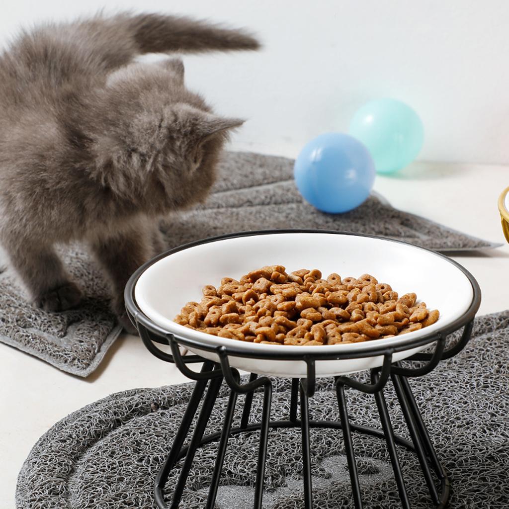 Pet Food Plate and Rack Set Whisker-Friendly Anti-Vomit Cat Plate Set for Cats and Small Dogs
