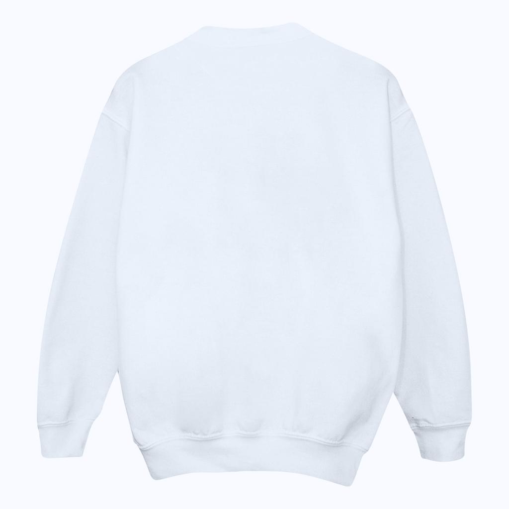 Disney Womens/Ladies Hocus Pocus Birds Sweatshirt
