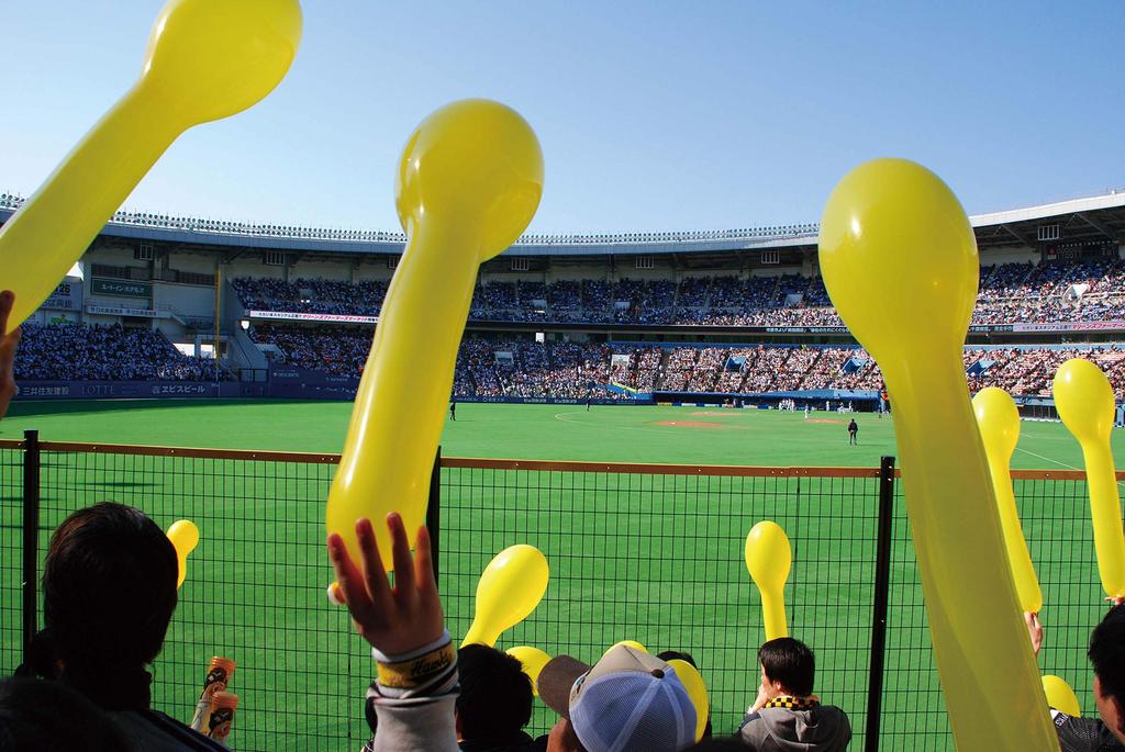 Lornetka TASCO Essential 10×25