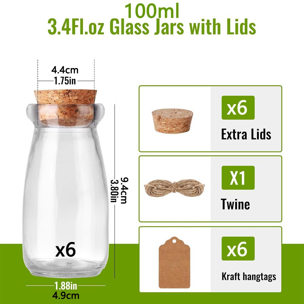 

Small Glass Jars with Cork Lids 3.4oz Little Potion Bottles with Cork Stoppers, Seashell Jars, Glass Vials, Pill Jar, Spell Jar