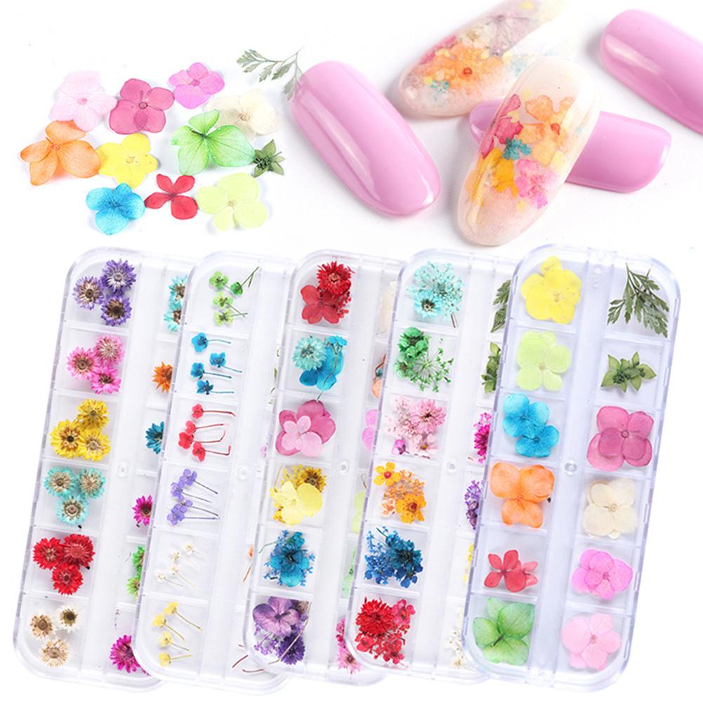 3D Nail Manicure Dried  Flowers 12 Kinds Colorful Realistic Diy Crafts Resin Jewelry Ornaments Phone Cases Invitation Cards Decor