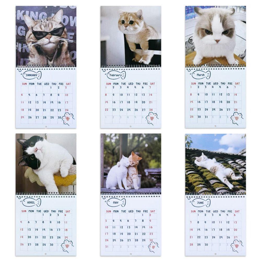 Memo Planner 2026 Cat Calendar One Month To View 2026 Wall Calendar Cute Monthly & Daily Planner
