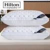 Premium Hotel-Style Memory Foam Pillow With 3D Star Embroidery Single Bed High Resilience Feather-Like Fill White Gray