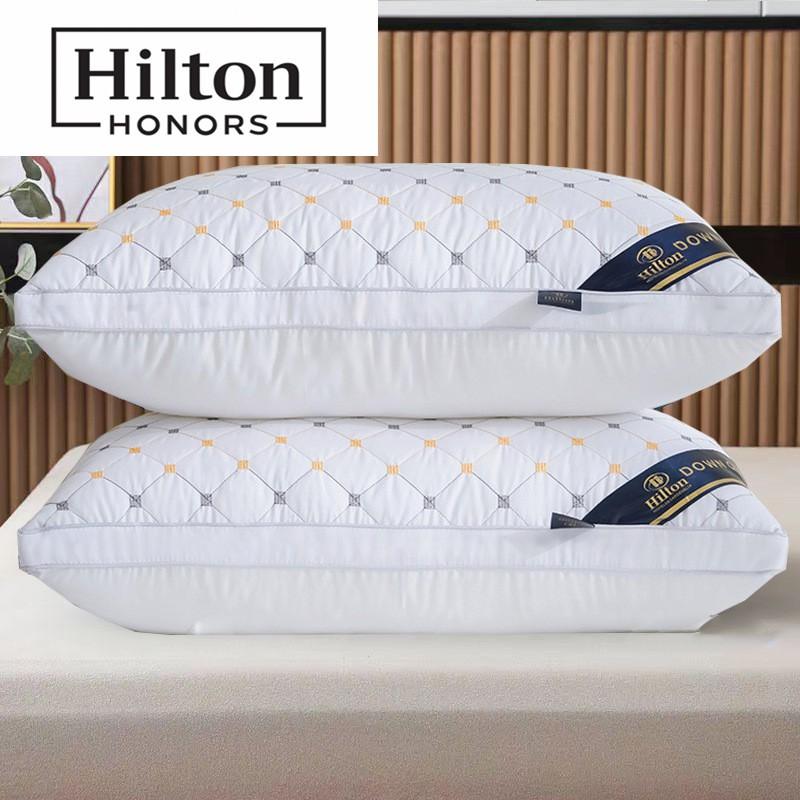Premium Hotel-Style Memory Foam Pillow With 3D Star Embroidery Single Bed High Resilience Feather-Like Fill White Gray