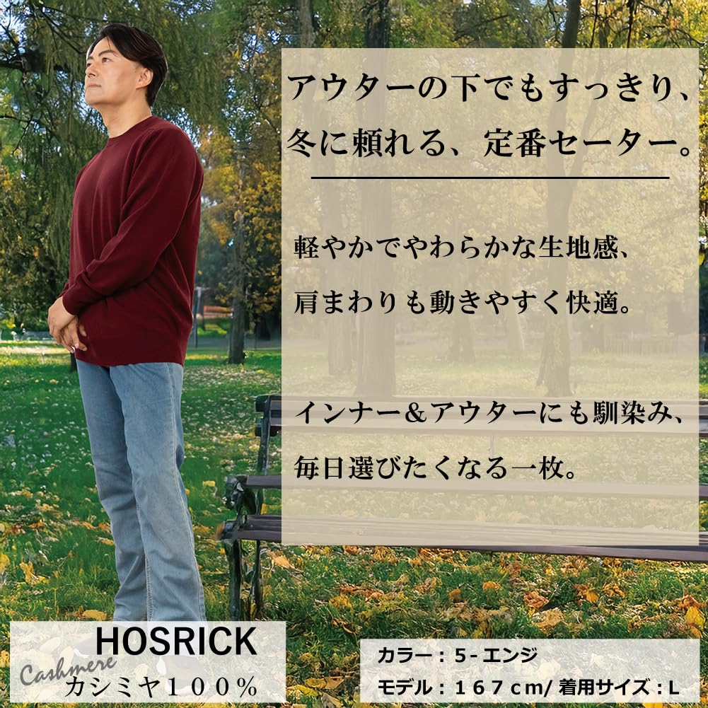 HOSRICK Kaschmir Rundhals Offiziell Premium Qualität Winter Einfarbig 100% Herren Pullover, Farbe Weinrot, Größe LL, Getestet, Strickware,