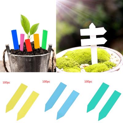 100 Pcs Plastic Plant Seed Labels Pot Nursery Garden Stake Tags 5cm X1cm