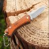 New Mini Stainless Steel Folding Knife Colorful Wood Portable Mini Keychain Unboxing and Opening Express Knife