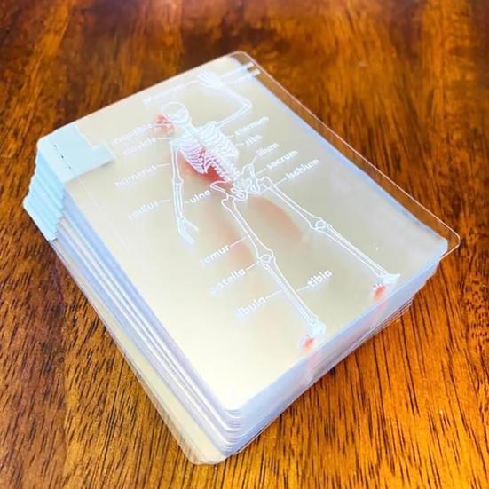 Le Jeu de Cartes Corps Squelette Modèle Cartes à Jouer Transparent Image Anatomie Humaine 3D