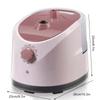Standing Garment Iron 1.8L Water Tank 2000W Electric Steam Iron Hanging Ironing Machine