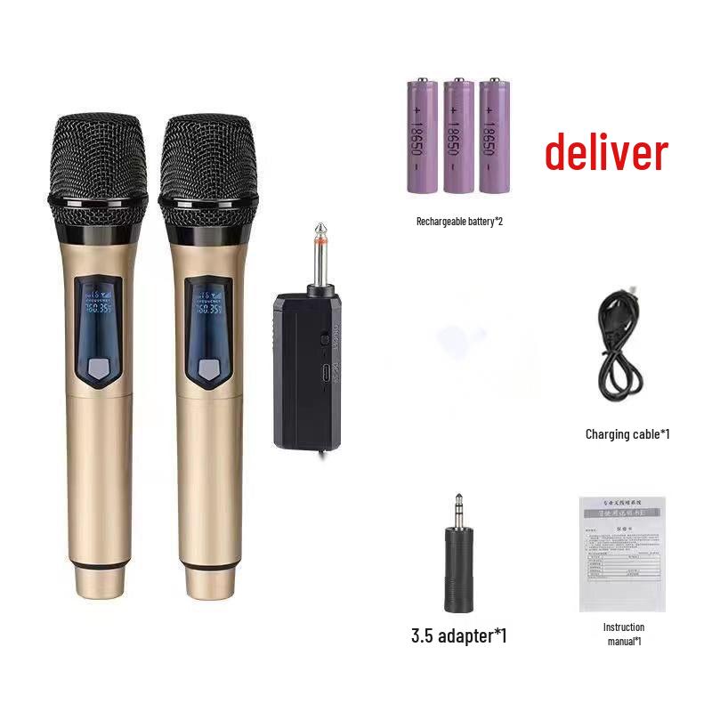 Rechargeable Dual Wireless Handheld Microphone for Outdoor Events and Live Broadcasts
