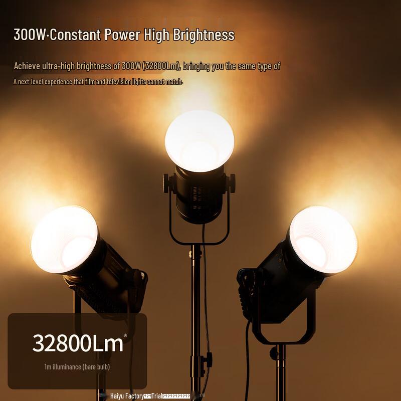 Professional 300W COB LED Studio Video Light