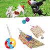 5pcs Foraging Toys Colorful Shred Bell Ball Basket Chewing for Pet Chicken Parrot  Bird