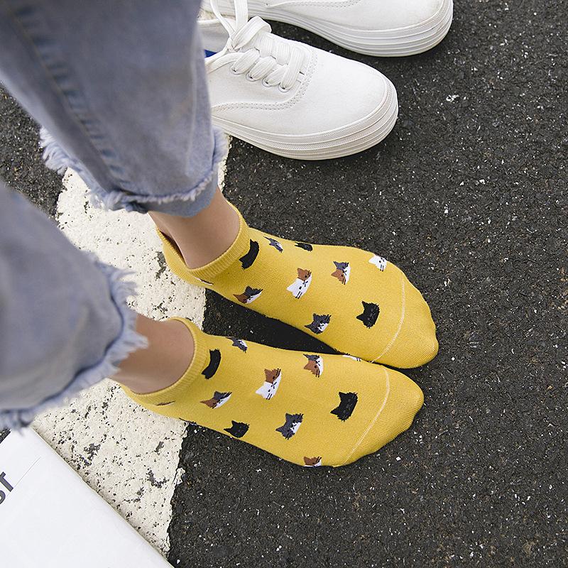 5 Pairs/Set Women's Cat Pattern Cartoon Cute Ankle Socks Breathable Comfty Short Cotton Socks Spring Summer