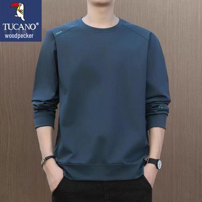 Men's Spring Autumn Casual Round Neck Sweatshirt